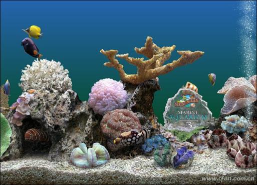 3D Serene Scree热带鱼屏保